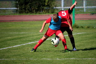 德赢体育官网-中超联赛球员战术执行风险类型分类,中超防守型中场