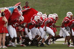 vwin在线登录-全国青少年攀岩锦标赛顺利举办,攀岩青少年标准赛道