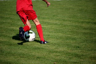 德赢体育注册入口-篮球运动员心理健康维护体系建设研究,篮球运动员心理健康维护体系建设研究论文